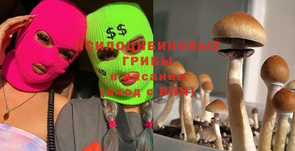 альфа пвп Каменка