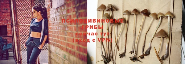мефедрон Каменногорск