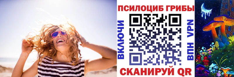 Купить  Находка  Галлюциногенные грибы Cubensis 